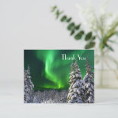 Carte Postale Feux nordiques en hiver (Debout devant)