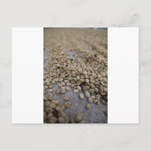 Carte Postale Fèves de café (Devant)