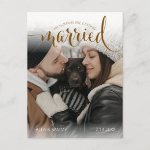 Carte Postale Fiançailles de photo de mariage de l'animal de com