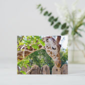 Carte Postale Fiberlicious (Debout devant)