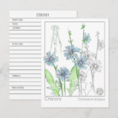 Carte Postale Fiche d'étude sur les plantes de la monographie mé (Devant / Derrière)