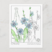 Carte Postale Fiche d'étude sur les plantes de la monographie mé (Devant)