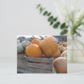Carte Postale Fichier citrouille (Debout devant)