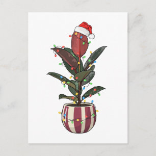 Carte Postale Ficus plante caoutchouc Santa Chapeau Lumières de