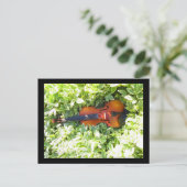 Carte postale Fiddle et Ivy Violon (Debout devant)