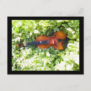 Carte postale Fiddle et Ivy Violon
