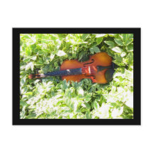 Carte postale Fiddle et Ivy Violon
