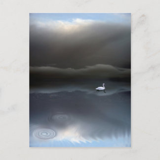 carte postale fidélité