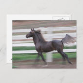 Carte Postale Fier courant (Devant / Derrière)