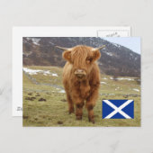 Carte Postale Fier d'être écossais ! (Devant / Derrière)