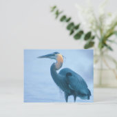 Carte Postale Fier et droit (Debout devant)