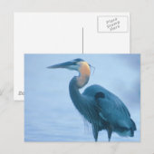 Carte Postale Fier et droit (Devant / Derrière)