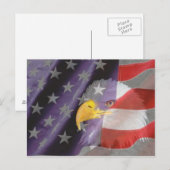 Carte postale Fier et Patriotique USA Bald Eagle (Devant / Derrière)