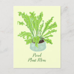 Carte Postale Fier maman Plante - fougère de nid d'oiseau sur le