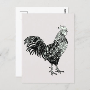 Carte Postale Fier petit coq !