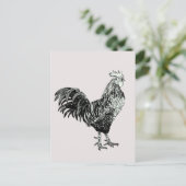 Carte Postale Fier petit coq ! (Debout devant)