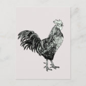 Carte Postale Fier petit coq ! (Devant)