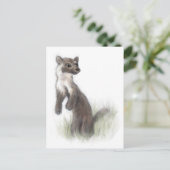 Carte Postale Fierce Little Pine Marten (Debout devant)