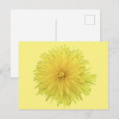 Carte Postale Fière Dandelion Flower - transparent. (Devant / Derrière)