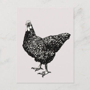 Carte Postale Fière petite poule !