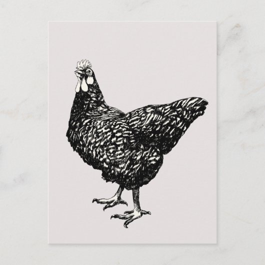 Carte Postale Fière petite poule ! (Devant)