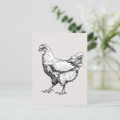 Carte Postale Fière petite poule ! (Debout devant)