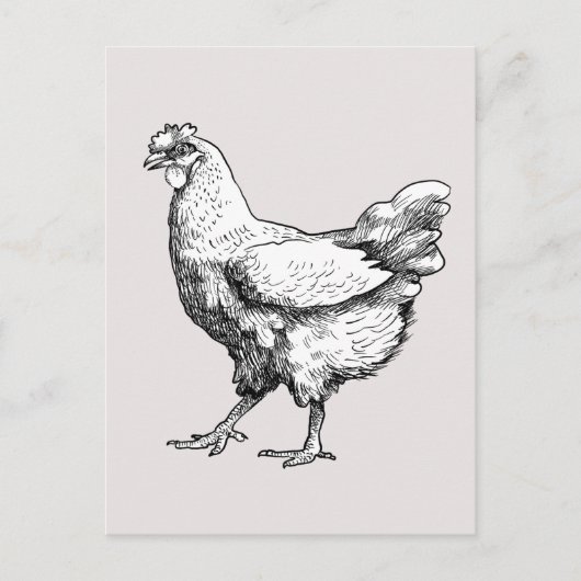 Carte Postale Fière petite poule ! (Devant)