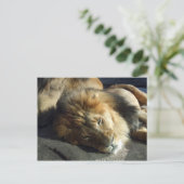 Carte Postale Fierté (Debout devant)