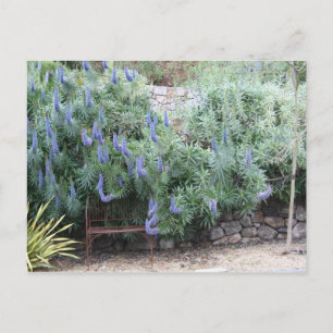 Carte postale Fierté de Madère