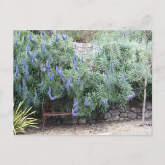 Carte postale Fierté de Madère