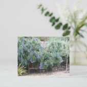 Carte postale Fierté de Madère (Debout devant)