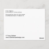 Carte postale Fierté de Madère (Dos)