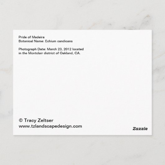 Carte postale Fierté de Madère (Dos)