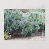 Carte postale Fierté de Madère (Devant)