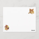 Carte Postale Fierté et préjugés (Dos)