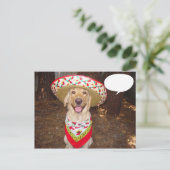 Carte Postale Fiesta Moses (Debout devant)