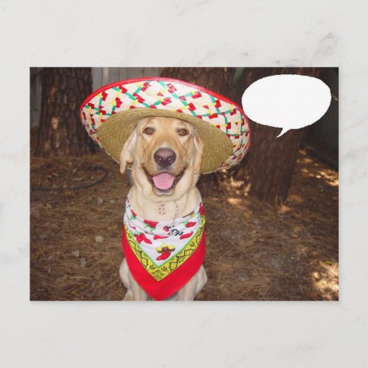 Carte Postale Fiesta Moses (Devant)
