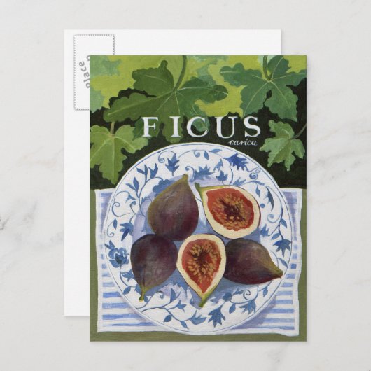 Carte Postale Fieus (Devant / Derrière)