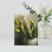 Carte Postale Fièvre du printemps (Debout devant)