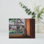 Carte Postale Fièvre du printemps (Debout devant)