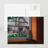 Carte Postale Fièvre du printemps (Devant / Derrière)