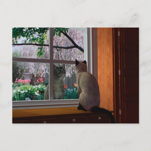 Carte Postale Fièvre du printemps (Devant)