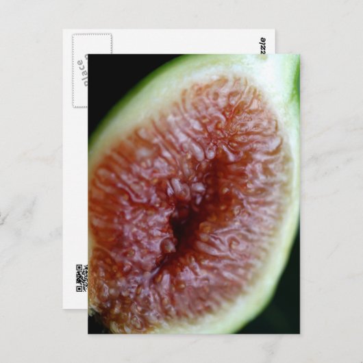 Carte Postale Fig à l'intérieur (Devant / Derrière)