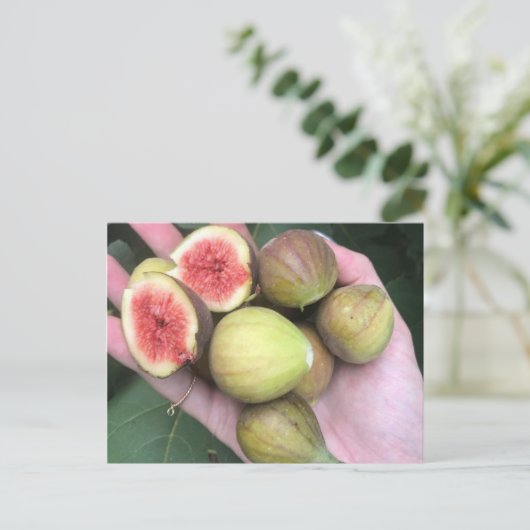 Carte Postale Figes (Debout devant)