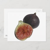 Carte Postale Figue (Devant / Derrière)