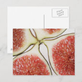Carte Postale Figues coupées, gros plan (Devant / Derrière)