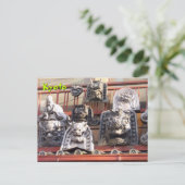 Carte Postale Figures de pierre (Debout devant)