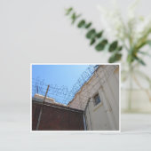 Carte Postale fil barbelé (Debout devant)