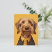 Carte Postale Fil Haired Dachshung Sur Jaune (Debout devant)