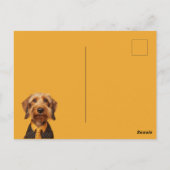 Carte Postale Fil Haired Dachshung Sur Jaune (Dos)